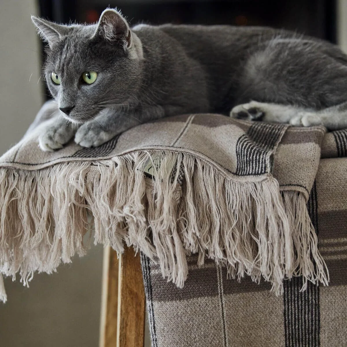 Pure New Irish Merino Wool Throw Blanket – Made in Ireland - Image 15 | CeltHaus